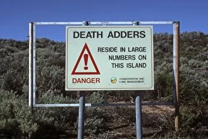 Adders Gallery: Death ADDER sign - Snake warning