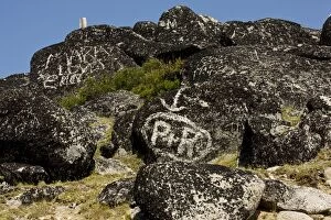 Defacement of rich lichen flora on rocks at the