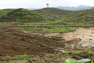 Images Dated 26th November 2007: Deforestation area - with young oil palm plantation
