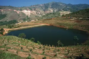 Destructive Prints: Deforestation - destruction of tropical forests - North Thailand