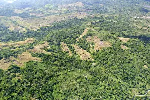 Forestry Prints: Deforestation Mayotte Island Indian Ocean