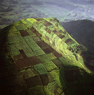 Democratic Republic of Congo - Aerial view of Africa, Intensive agriculture on the Virunga foothills, 2003 Democratic Republic of Congo - Aerial view of Africa, Intensive agriculture on the Virunga foothills, 2003
