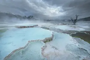 Yellowstone Prints: Deposits of travertine colored by thermophilic bacteria