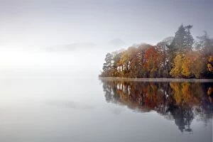 Images Dated 5th November 2011: Derwent Water - autumn colours reflected in water of derwent island in the mist with catsbells
