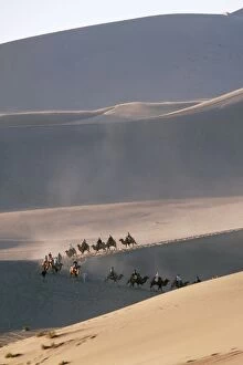 Desert - Bactrian Camel train, Gobi Desert, China