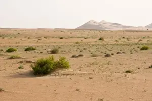 Middle East Prints: Desert - patterns on sand - Abu Dhabi - United Arab Emirates