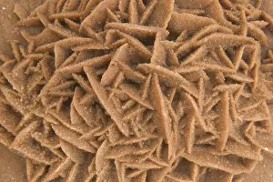 Textures Prints: Desert Rose - Calcium sulphate Sahara Desert, Tunisia and Algeria 1E50T4213