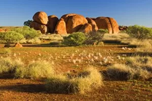 Images Dated 15th June 2008: Devils Marbles - several circular shaped marbles of red granite situated amidst grassy bushland