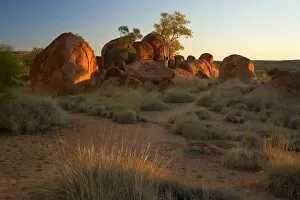 Images Dated 15th June 2008: Devils Marbles - several circular shaped marbles of red granite situated amidst grassy bushland in