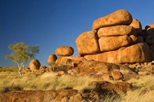 Devils Marbles - a ghost gum tree and three balanced rocks of almost perfect circular shape are located on top of a