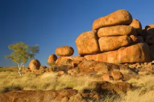 Gums Prints: Devils Marbles - a ghost gum tree