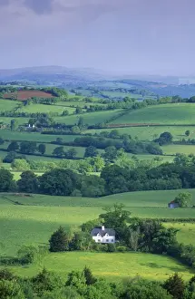 Hedgerows Prints: Devon HAR 20 Cottage amidst hedgerow landscape © Anthony Harrison / ARDEA LONDON
