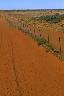 Dingos Prints: Dingo fence Sturt National Park, far western New South Wales, Australia JPF45267