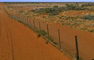 Dingo fence Sturt National Park, far western New South Wales, Australia JPF45266