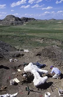 Badlands Gallery: Dinosaur excavation - In the badlands of South