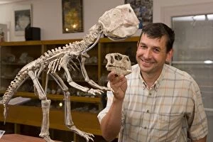 Dinosaur Skeleton - Paleontologist / Palaeontologist