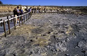 Museum Prints: Dinosaur tracks: Clayton Lake State Park