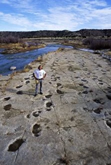 Dinosaur tracks - Dr. Martin Lockley, geologist