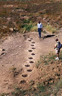 Images Dated 6th February 2014: Dinosaur trackway