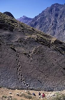 Dinosaur trackways - Chile