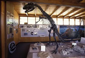 Reconstructions Prints: Dinosaurs: Cleveland-Lloyd Quarry Visitor Center South of Price City
