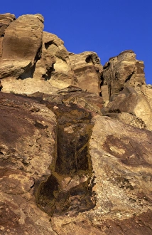 Images Dated 25th April 2008: Dinosaurs - Imprint of a Diplodocus femur Morrison Formation