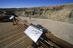 Footpath Prints: Dinosaurs - Red Gulch Dinosaur Tracksite