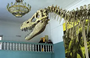 Reconstructions Prints: Dinosaurs - Theropods
