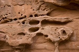 Distinctive erosion patterns in sandstone cliff