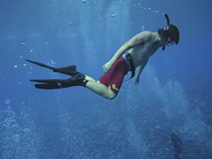 Images Dated 16th April 2005: Diver - Australian teenager Lockie Bursle snorkelling