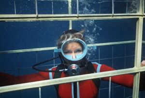 Diver - Valerie Taylor in cage watching Great White Sharks