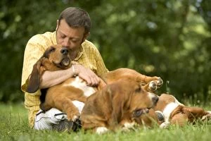 Bassets Gallery: Dog - Basset hounds with owner