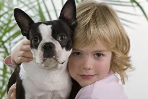 Boston Gallery: Dog - Boston Terrier being cuddled by young child