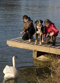 Dog - Children feeding swan by waters edge with