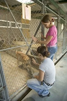 Images Dated 13th July 2005: Dog - two children looking at mongrel at rescue centre