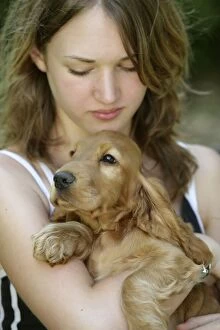 Affectionate Gallery: Dog - Cocker Spaniel with girl
