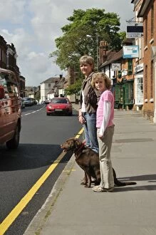 Images Dated 1st April 2009: Dog crossing a road safely with adult & child Dog crossing a road safely with adult & child