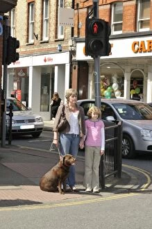 Exercising Gallery: Dog crossing a road safely with adult & child Dog crossing a road safely with adult & child