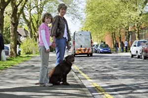 Images Dated 1st April 2009: Dog crossing a road safely with adult & child Dog crossing a road safely with adult & child