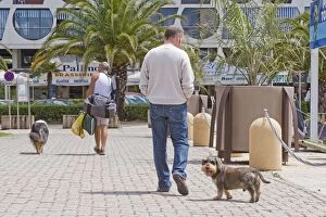 Dog - Dachshund walking with owner