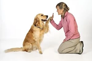 Dog. Dog doing high five with owner