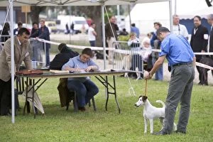 Images Dated 25th July 2007: Dog Show - dog being judged