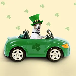 Vehicles Prints: Dog - driving car - Saint Patrick's Day Digital Manipulation