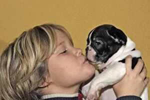 Dog - Girl kissing French Bulldog puppy