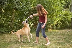 Child Gallery: Dog - girl playing with Labrador