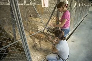 Dog - two girls looking at Mongrel in rescue centre cage