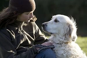 Images Dated 1st January 2008: Dog - Golden Retriever with girl