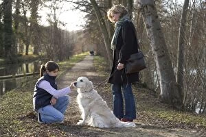 Images Dated 1st January 2008: Dog - Golden Retriever on walk with woman and girl