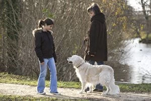 Images Dated 1st January 2008: Dog - golden retriever on walk with woman passing