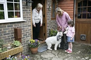 Images Dated 16th June 2007: DOG - greeting visitors to the family home DOG - greeting visitors to the family home
